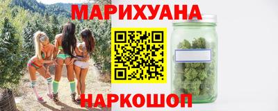 сатива Краснознаменск
