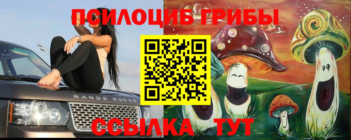 Кирово-Чепецк  Галлюциногенные грибы Magic Shrooms  Вход с VPN 